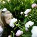 Ann Arbor resident Charlotte Park, 6, smells a peony. "It smells like candy," she says. Daniel Brenner I AnnArbor.com